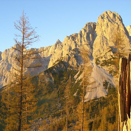Gasthof Hunerkogel Hotel Ramsau am Dachstein Ngoại thất bức ảnh